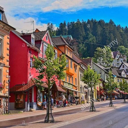 Dm Apartment Triberg im Schwarzwald Exteriér fotografie