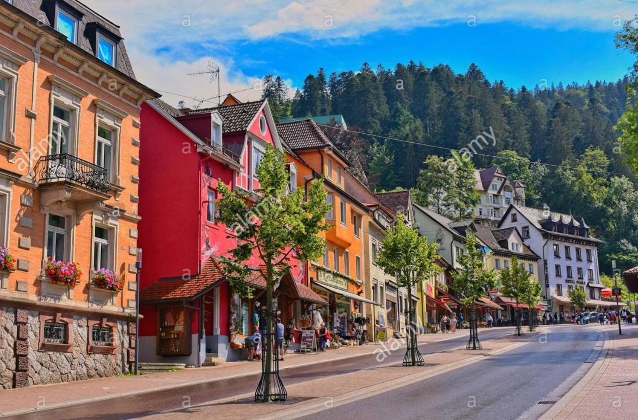 Dm Apartment Triberg im Schwarzwald Exteriér fotografie